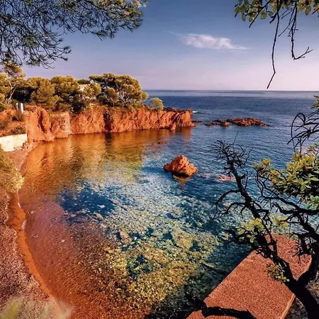 Petit Paradis Vue Mer- Et Calanques A 3 Mn Saint-Raphaël