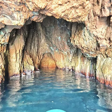 Petit Paradis Vue Mer- Et Calanques A 3 Mn *